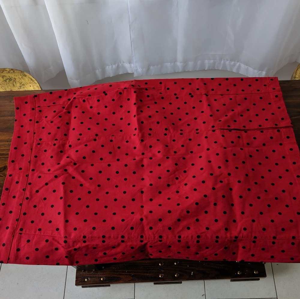 Rock steady pincil skirt 1x